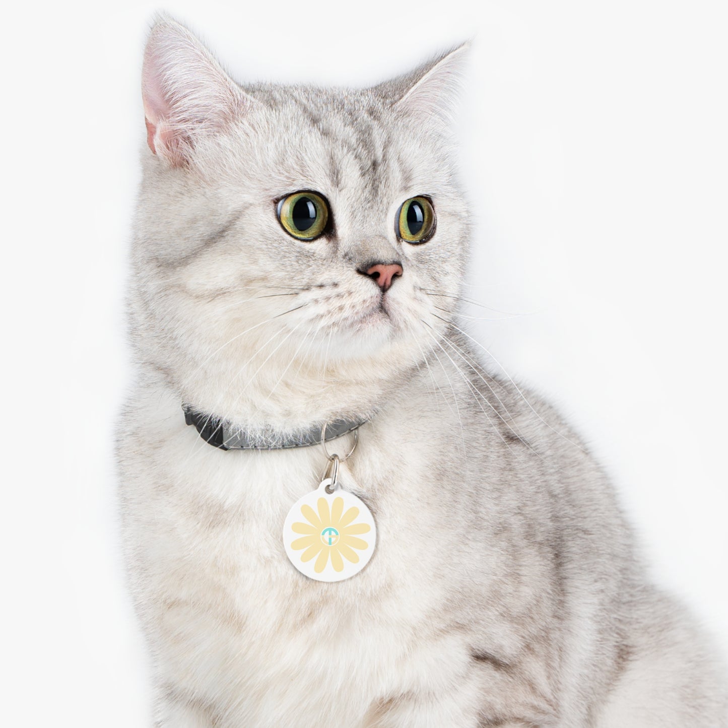 TONY G Pet Tag, featuring TONY Gerbera #3 and TG Logo #3 Monogram