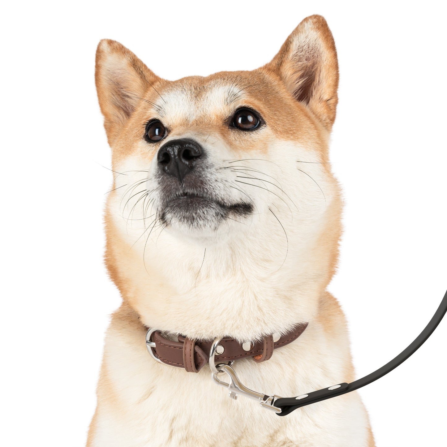 TONY G Dog Leash, featuring the TG Logo #2 Monogram Pattern