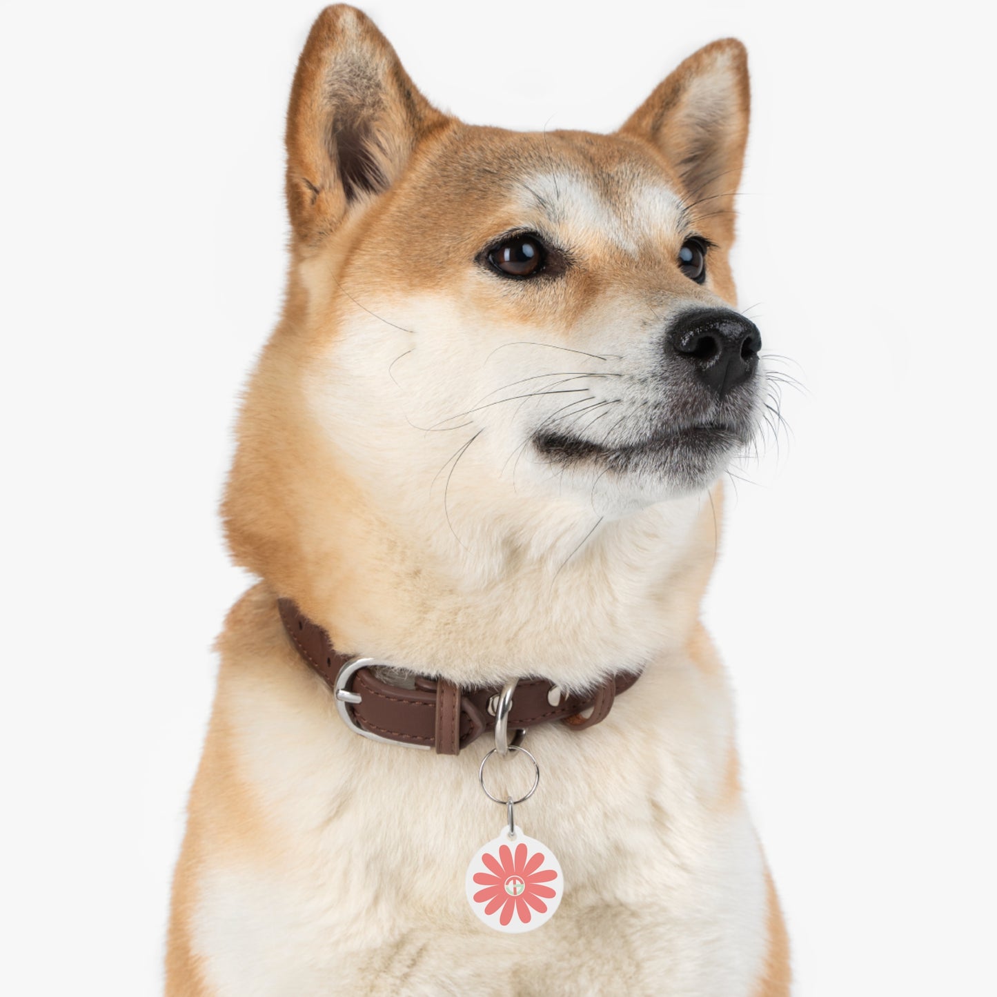 TONY G Pet Tag, featuring TONY Gerbera #4 and TG Logo #4 Monogram