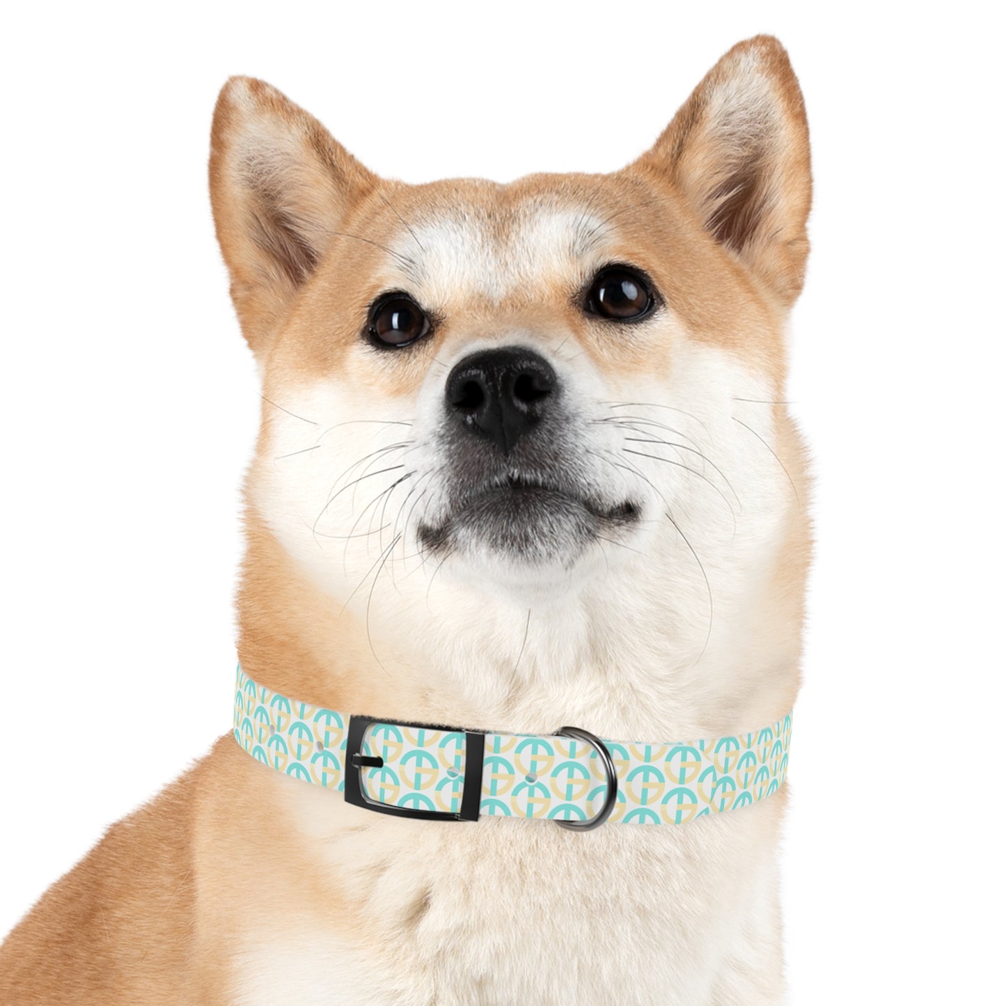 TONY G Dog Collar, featuring the TG Logo #3 Monogram Pattern