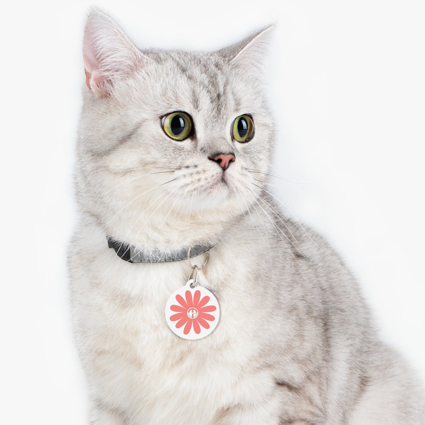 TONY G Pet Tag, featuring TONY Gerbera #4 and TG Logo #4 Monogram
