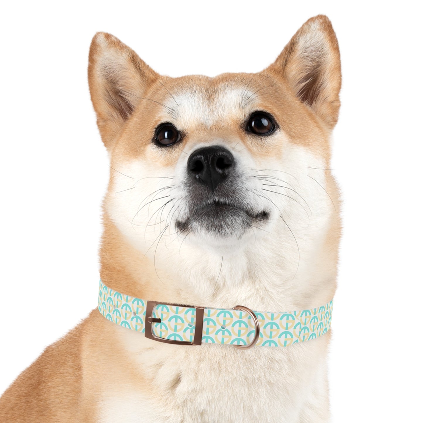 TONY G Dog Collar, featuring the TG Logo #3 Monogram Pattern