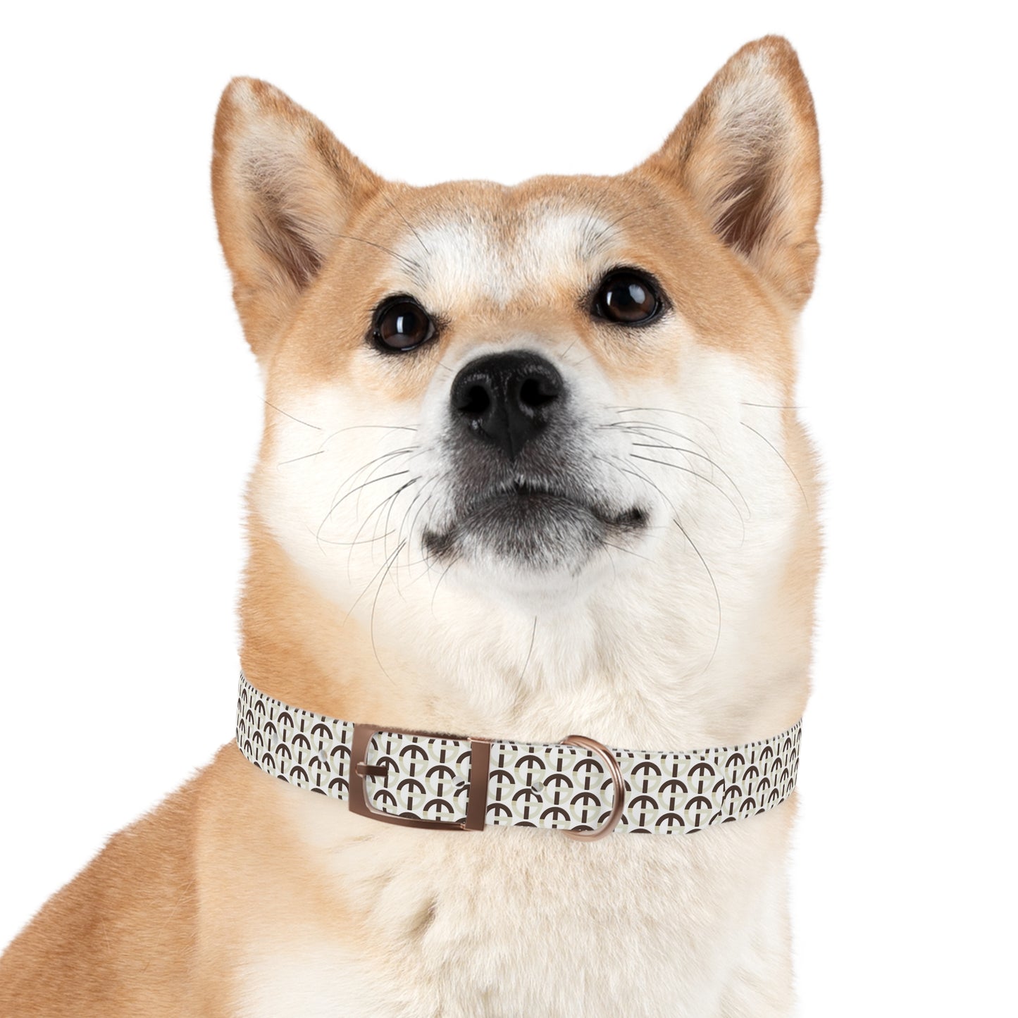 TONY G Dog Collar, featuring the TG Logo #2 Monogram Pattern