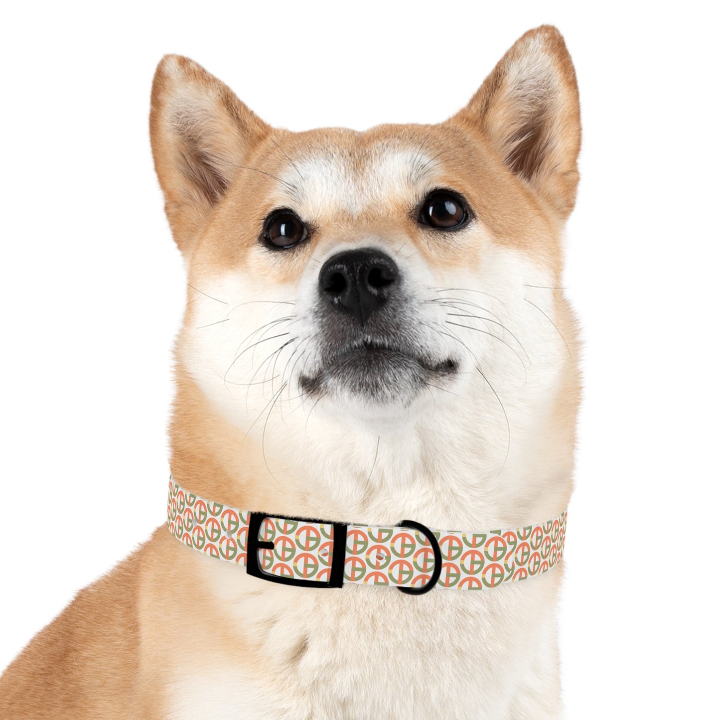 TONY G Dog Collar, featuring the TG Logo #1 Monogram Pattern
