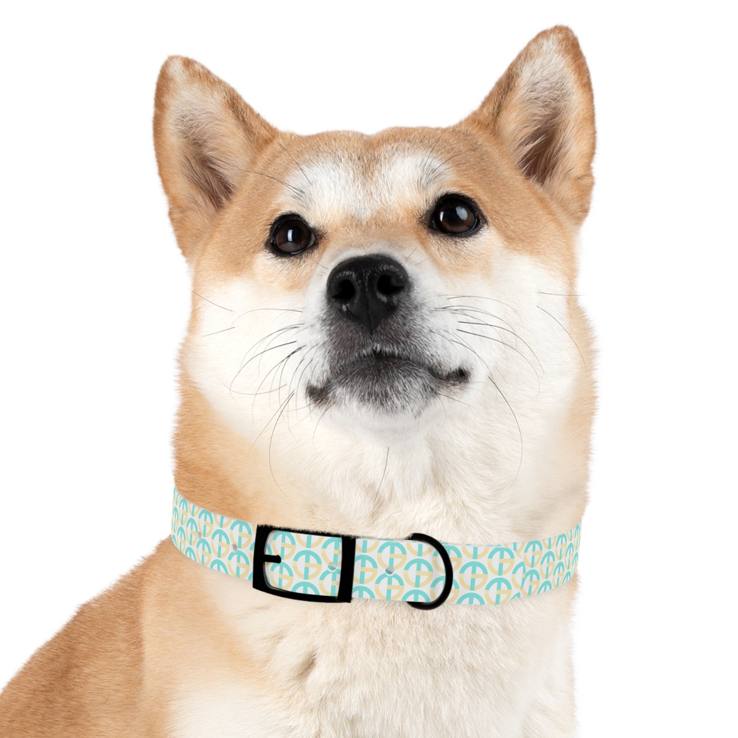 TONY G Dog Collar, featuring the TG Logo #3 Monogram Pattern